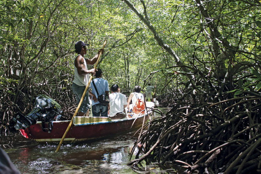 IMG_0158 - Nusa Lembongan Mangrove