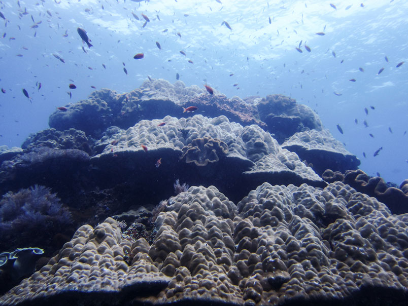 Nusa Penida-8496