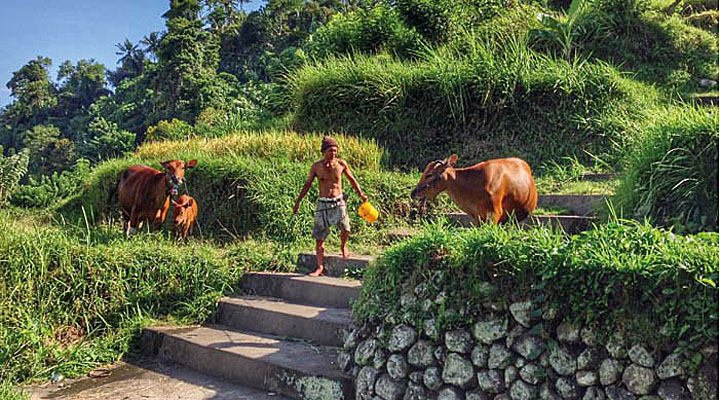 East Bali