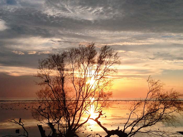 Gili 8_1