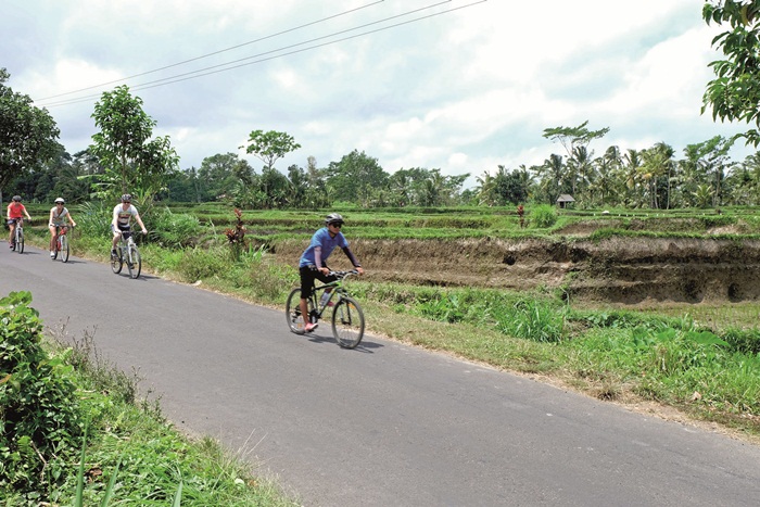 Cycling1