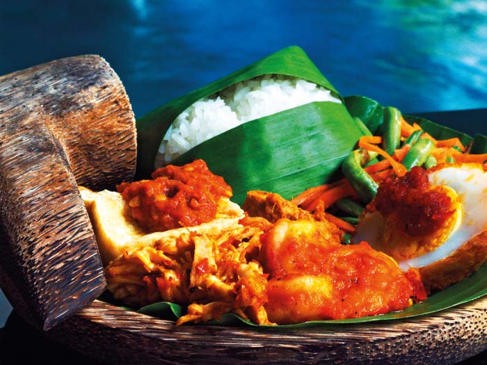 DS - Lola's Art of Indonesian Cuisine