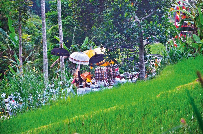 Secret Ceremony - Barong Procession in Baturiti