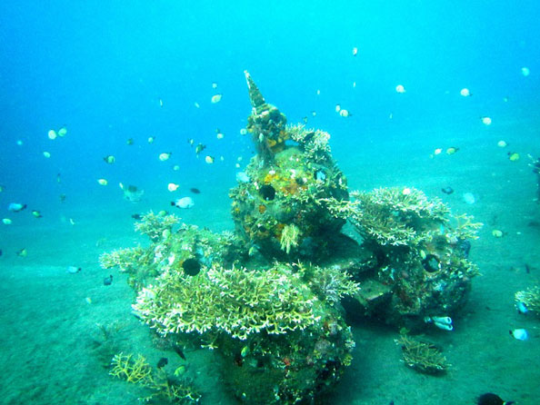 LINI - Artificial Reef Structures