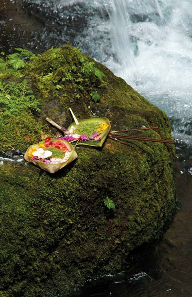 offerings