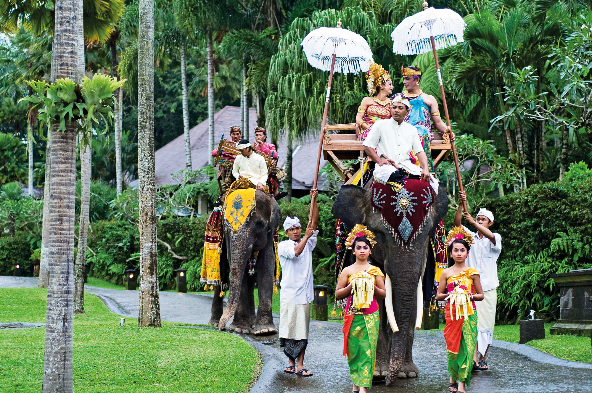 Elephant Cultural Wedding