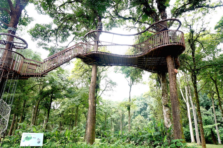 Bedugul Botanical Garden (4)