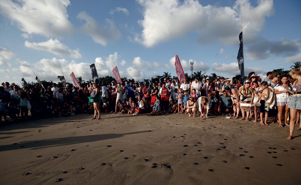 Bali Big Eco Weekend