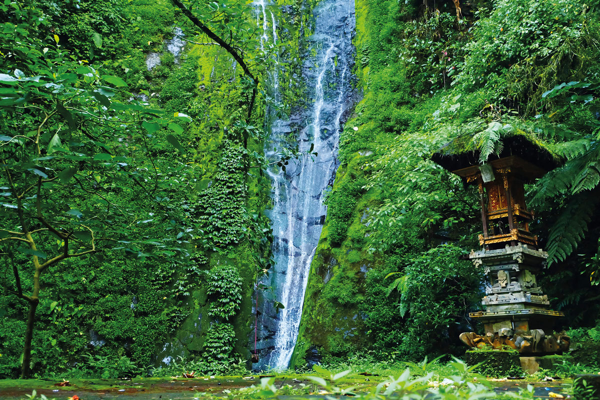 Hidden Adventures in Bedugul - NOW! Bali