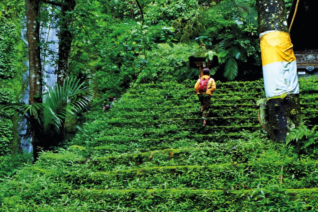 bedugul-6