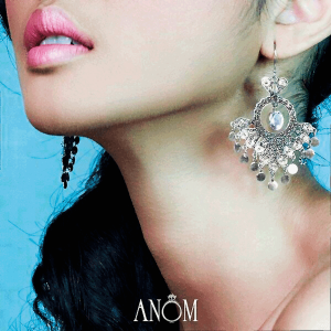 shopping-anom-1