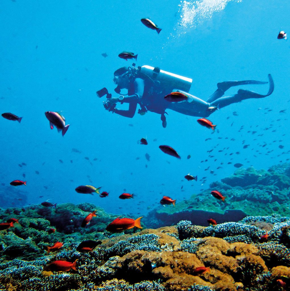 Theme---Exploration-East---WTD---diving-Nusa-Lembongan