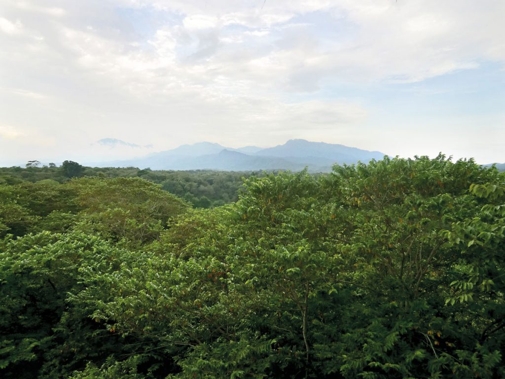 West-Bali-National-Park2