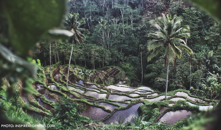 Bali Best Island in the World 3