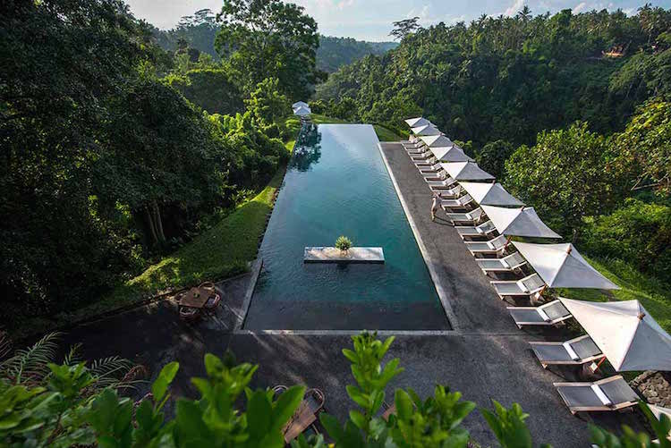 Alila Ubud Swimming Pool