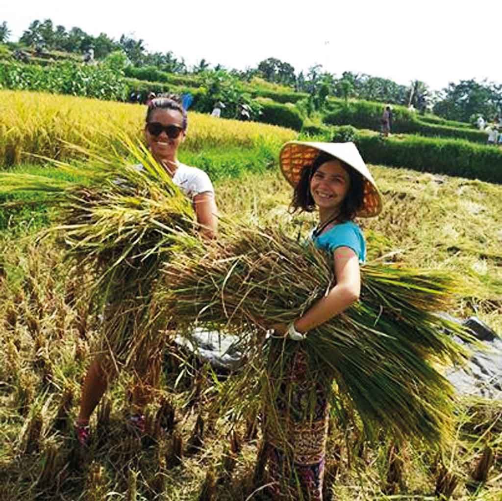 Charity-Profile---Sawah-Bali----change-management--agrotourism2