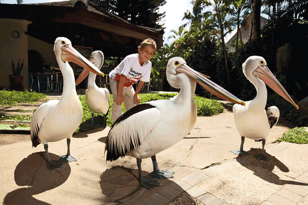 Close-Encounter-with-Furry-Friends3