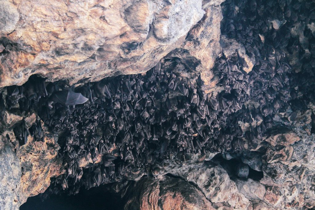 Goa Lawah Bat Cave Temple 