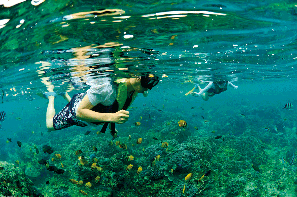 Snorkeling-2