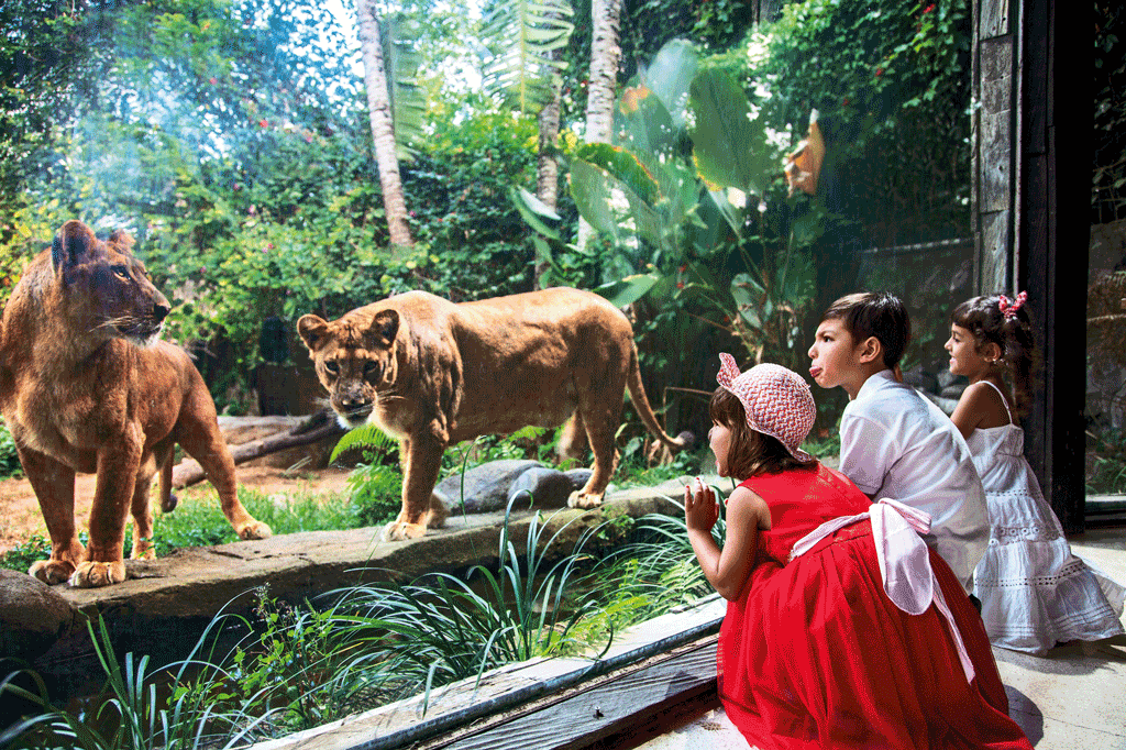 Visit-the-Sumatran-Village4