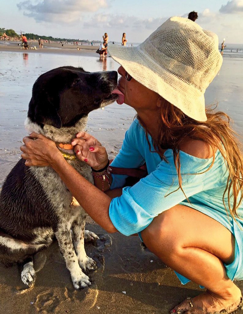 Charity-Profile---Lucky-Dog-Rescue---A-Tale-of-Bali-Dog-(3)