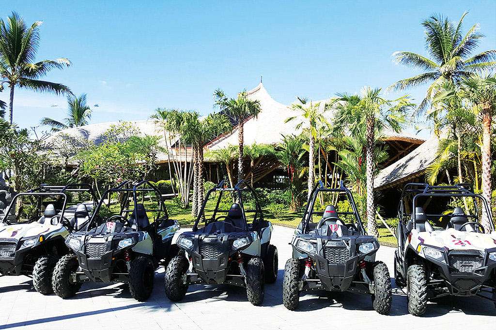 Mason adventures jungle shop buggies
