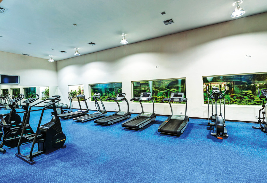 Theme - WTD - Fitness - DKPH Gym