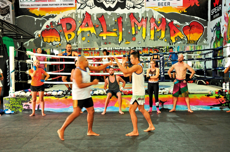 Theme - WTD - Sports Club - Bali MMA (1)