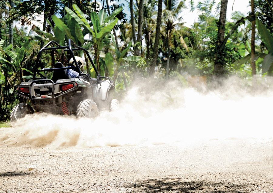 Buggy1