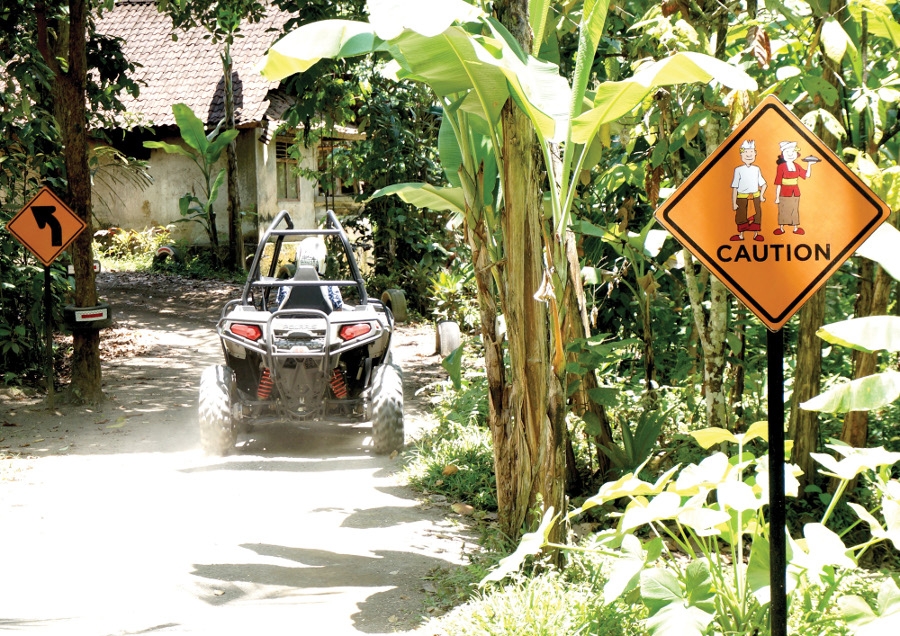 Mason Jungle Buggies