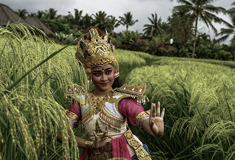 Desa Visesa Bali Balinese Living Arts Performance