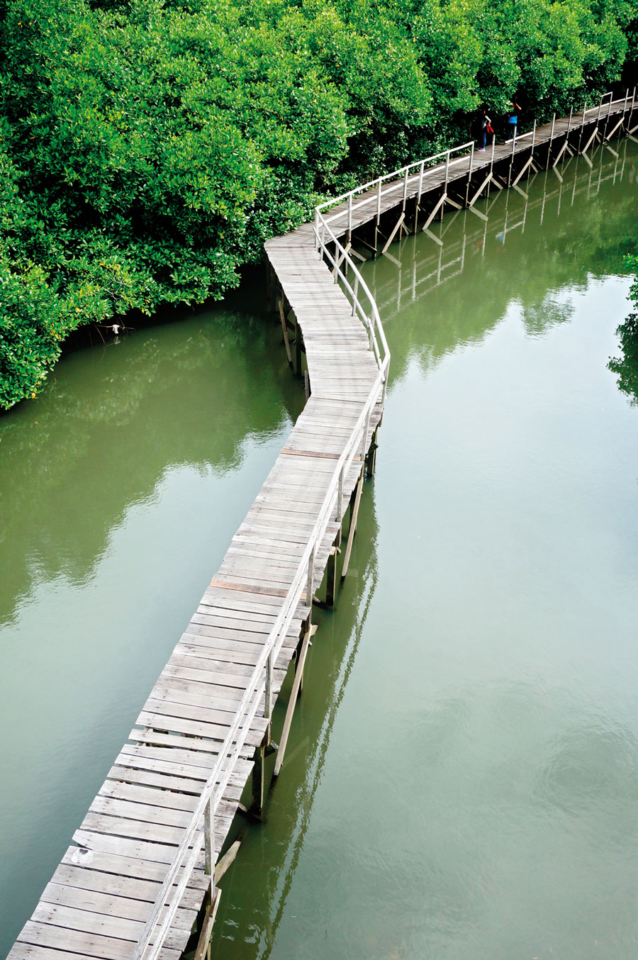 Along-The-ByPass-(8)