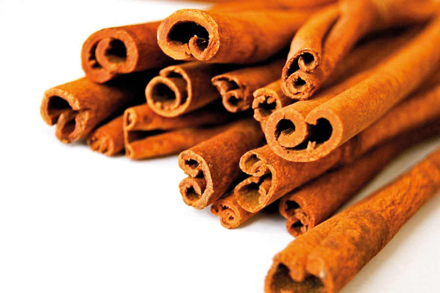 Theme---spa-ingredients-&-benefits---cinnamon-(1)