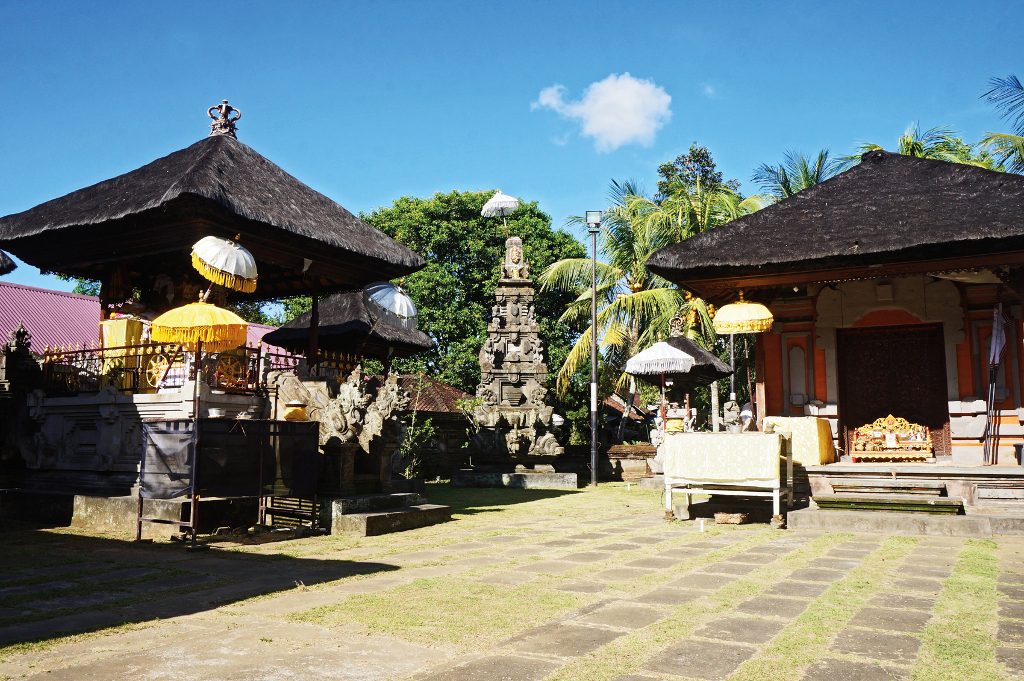 Kebo Edan4