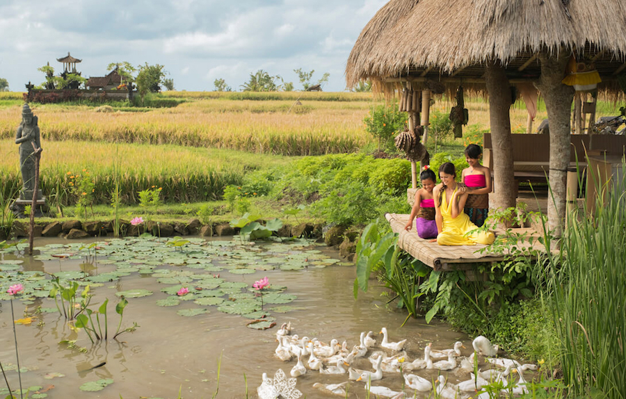 Weekend Santai Desa Visesa Ubud