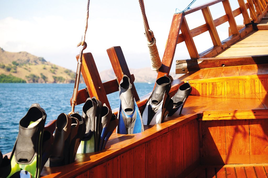 snorkelling and diving gears are provided onboard Felicia