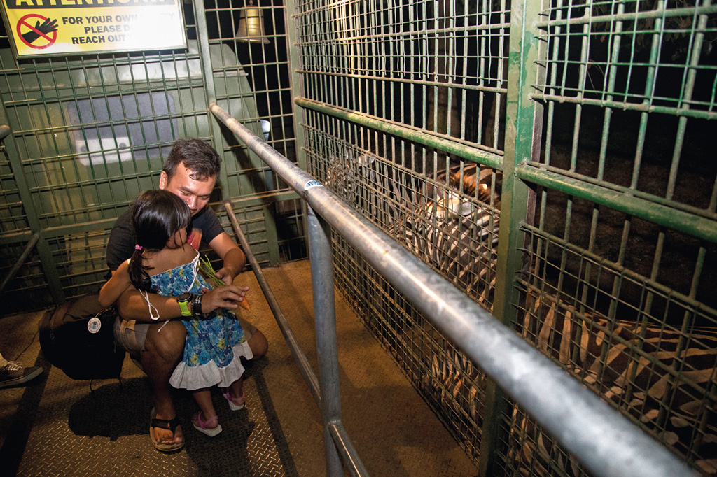 Bali-Safari-(1)