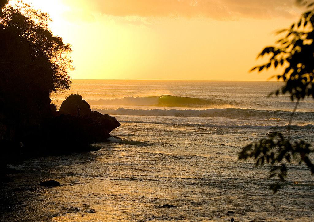Padang-gold-Photo_-Rip-Curl