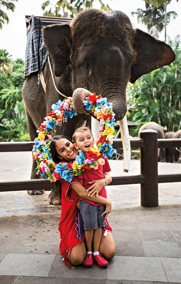 Theme - Parks - Mason Safari Park (3)