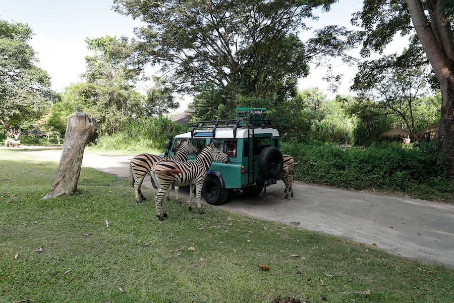 Bali Safari and Marine park 4X4 Jeep