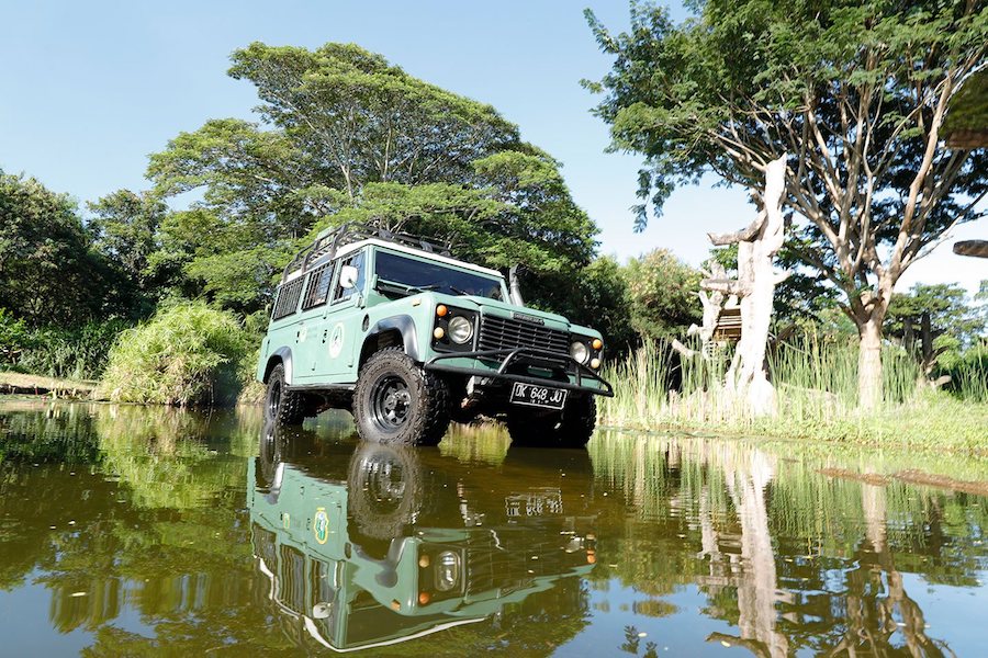 Bali Safari and Marine park 4x4 jeep safari