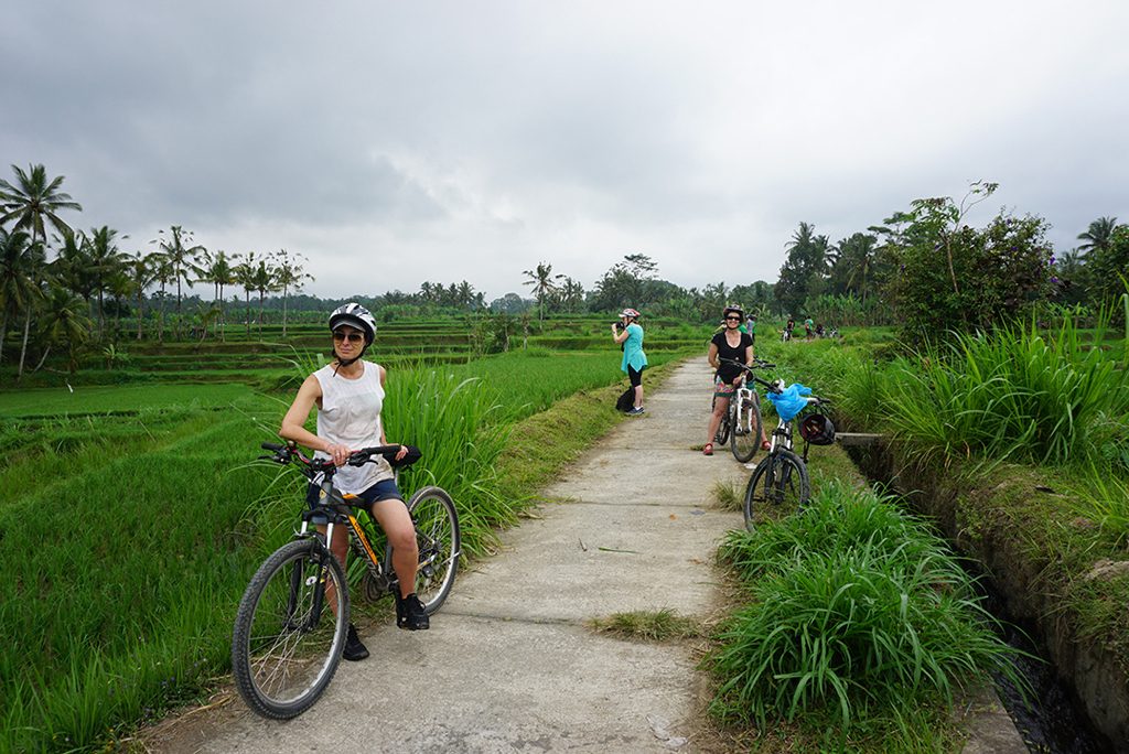 GreenBike Cycling (4)