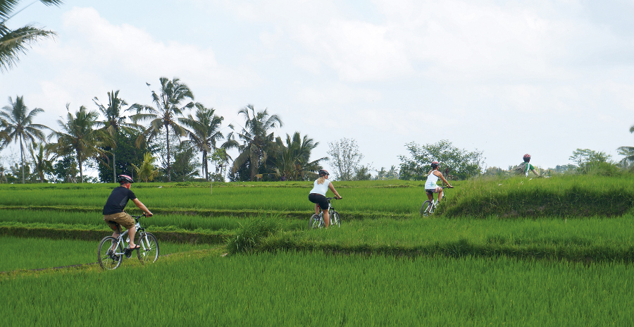 GreenBike Cycling (6)