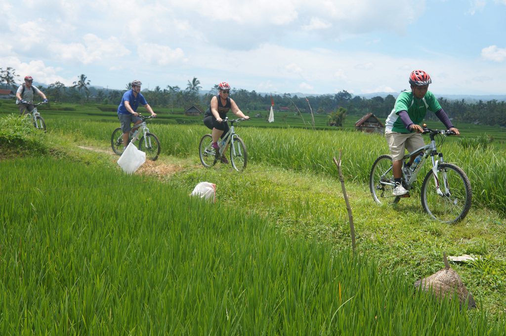 GreenBike Cycling (8)