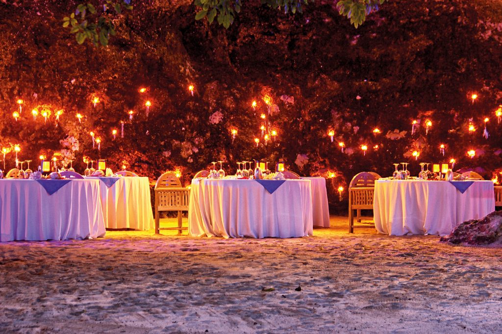 DS - The Power of Love Dinner