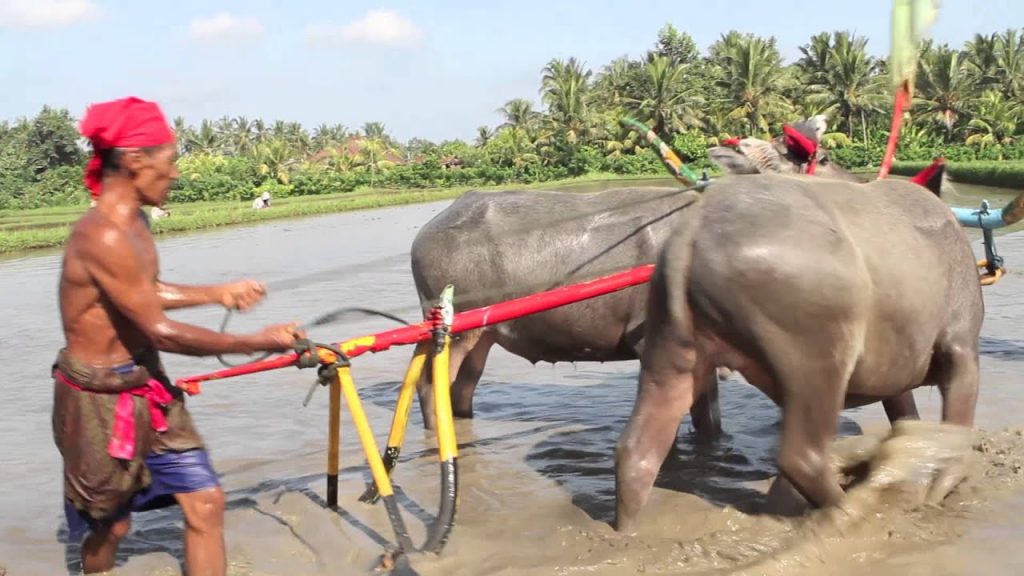 Picture courtesy from https://www.youtube.com/watch?v=Da782fRl5Ko