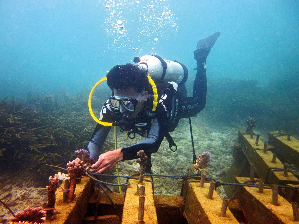 NGO in Bali