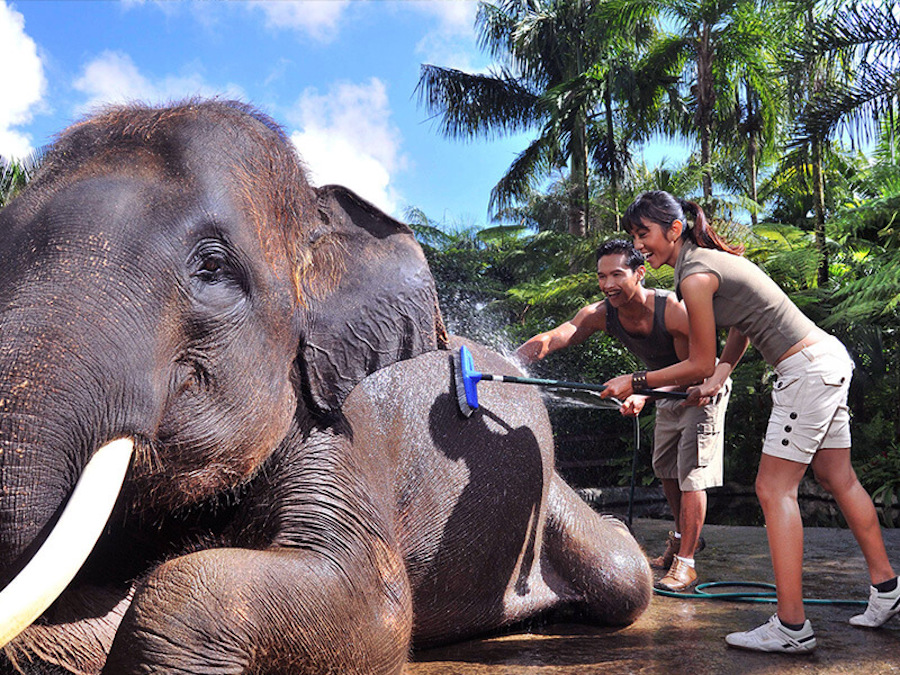 Activities in Bali for Kids 3