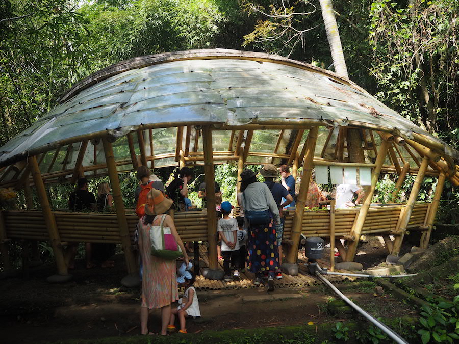 Sustainable SOlutions Festival Green School Bali