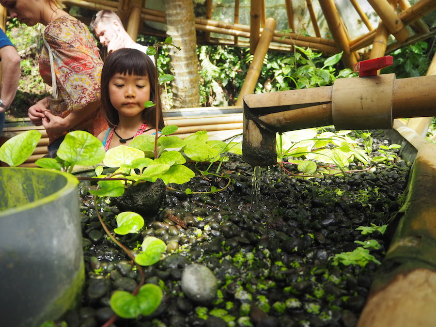 Sustainable SOlutions Festival Green School Bali